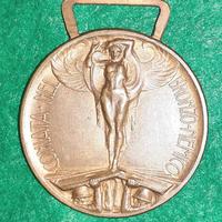 Medaglia guerra 1915-1918