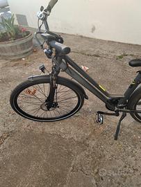  bici elettrica 