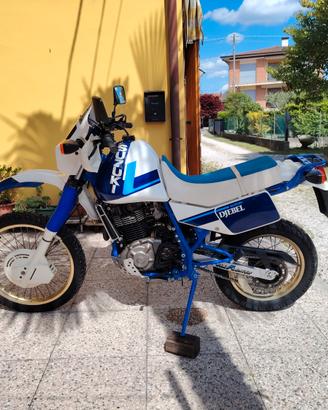 SUZUKI DR 600 DJEBEL 