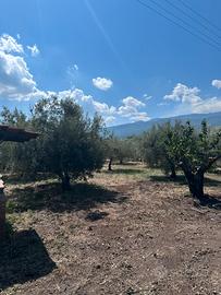Casa con terreno