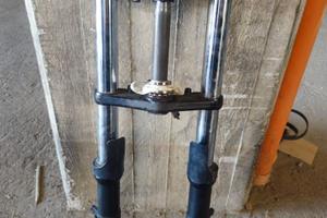 Gruppo Forcella Sospensione Yamaha Fz6 S2