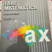 E. Gallo  -  Fare matematica