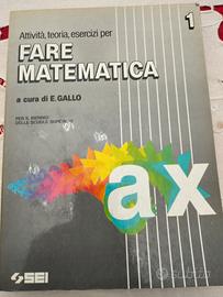 E. Gallo  -  Fare matematica
