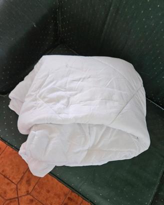 Trapunta Piumino Sleeptime Invernale Bianca 