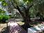Immagine 28