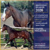 Stagione di monta 2026