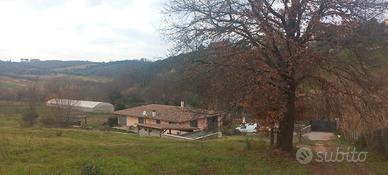 Azienda Agricola con Terreno e Manufatto