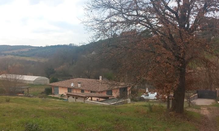 Azienda Agricola con Terreno e Manufatto