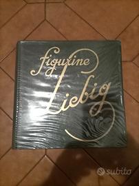 Album figurine Liegig