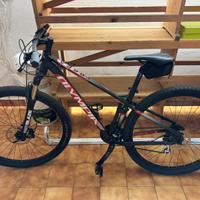 MTB 29