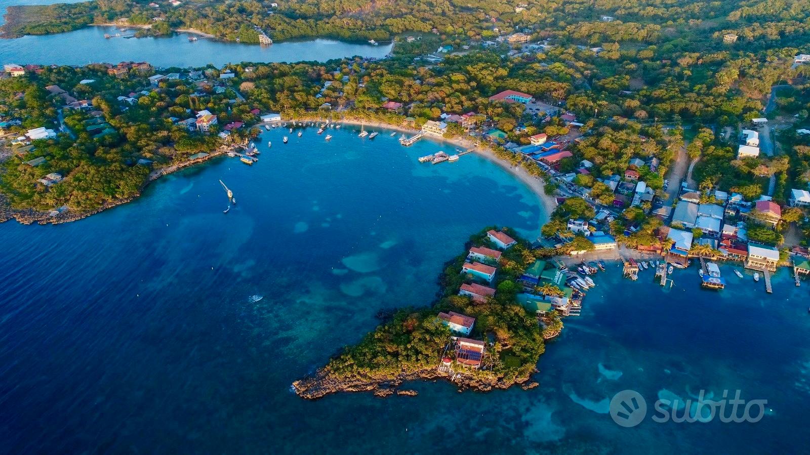 Roatán: Mango Jungle Lodge & Catamaran Business - Vista 2