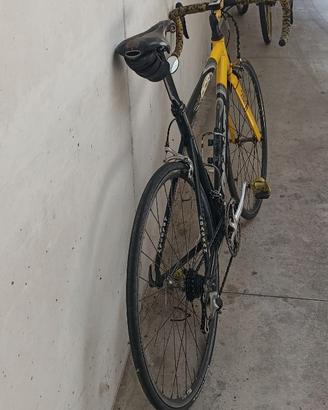Bici da corsa Modello Giant OCR
