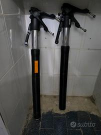 steli ducati diavel 1260