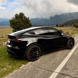 TESLA MODEL Y PERFORMANCE