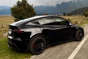 TESLA MODEL Y PERFORMANCE