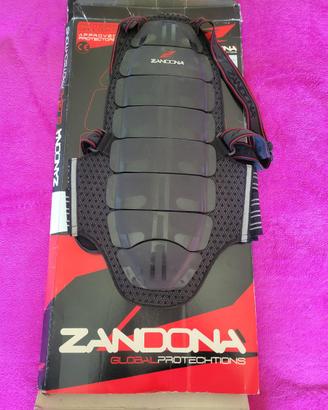 Paraschiena , Ginocchiere, Giacca e  Pantaloni