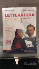 Libro di letteratura italiana + libro di scrittura