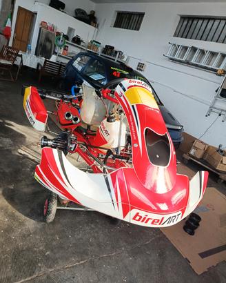 Telaio KZ birel 30