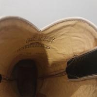 Texani/Camporosso TG 38 nuovi