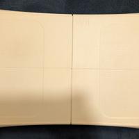 Nintendo Balance Board