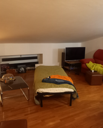 Mansarda con terrazza panoramica