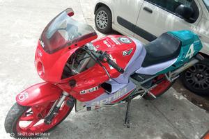 Aprilia AF1 125 1989 Loris Reggaini