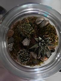 Terrarium ecosystem