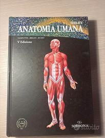 Libro “Anatomia umana” Seeley. V edizione.