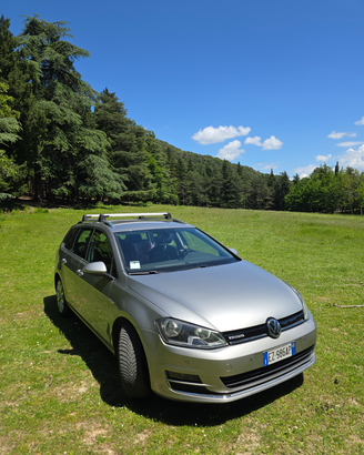 Golf 7 Variant 2015 1.4 TGI metano