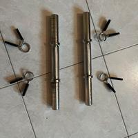 Coppia manubri usati