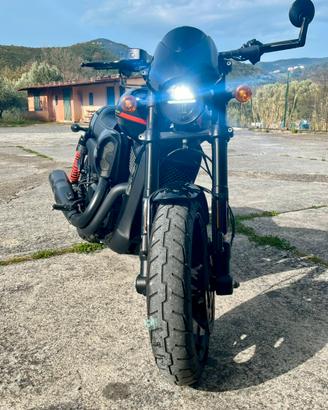 Harley Davidson Street Rod 750 2020