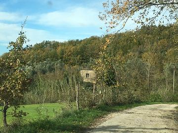 Terreno agricolo con rustico