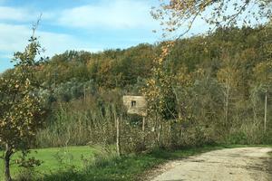 Terreno agricolo con rustico