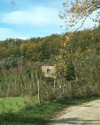 Terreno agricolo con rustico