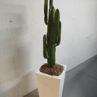 pianta di cactus finta con vaso 