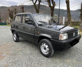 Fiat Panda 4x4 trekking 1100