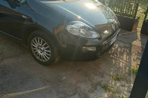 FIAT Punto 1.2 8V 5 porte Street