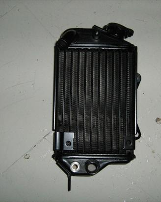 radiatore acqua klx 650 lato dx 93-95