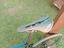 Immagine 6