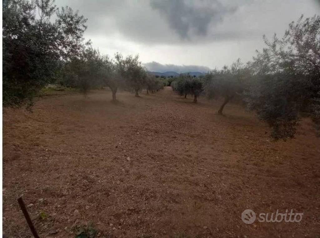 Immobile in asta di 51987 m² a Chiaramonte Gulfi - Vista 2