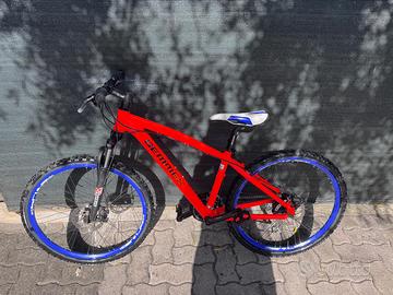 Bici MTB
