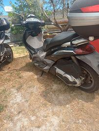 beverly 500