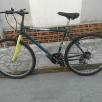 mountain bike BIANCHI