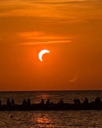 Ultime disponibilità mare Cecina Toscana