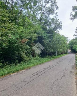 TER. AGRICOLO A USMATE VELATE