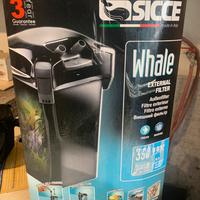 Filtro acquario