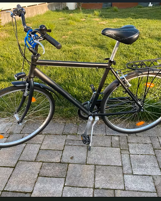 bicicletta da uomo