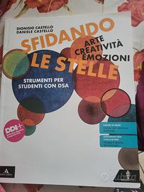 Sfidando le stelle  Strumenti per studenti con Dsa