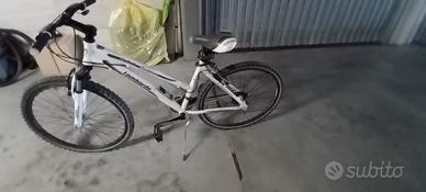 Mountain bike Lombardo Sestriere 300