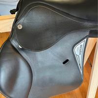 Sella equiline saddle division